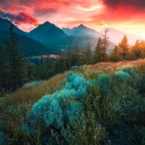 Meet your Posher, Prabha